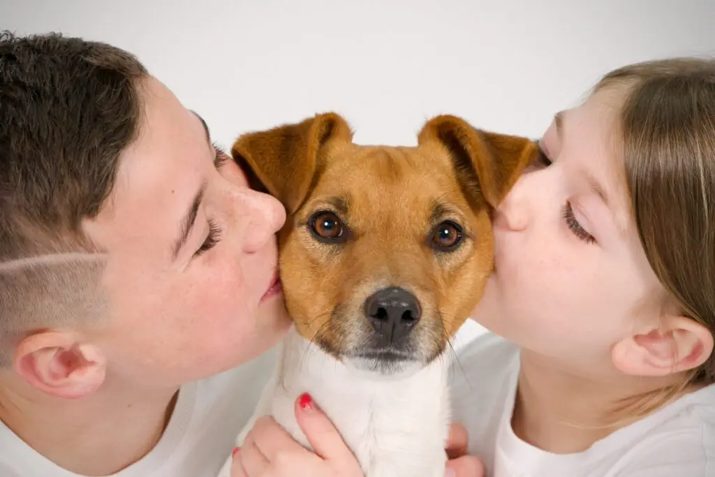 Studio Exposja Family and dog photo in Melbourne by Exposja Photography